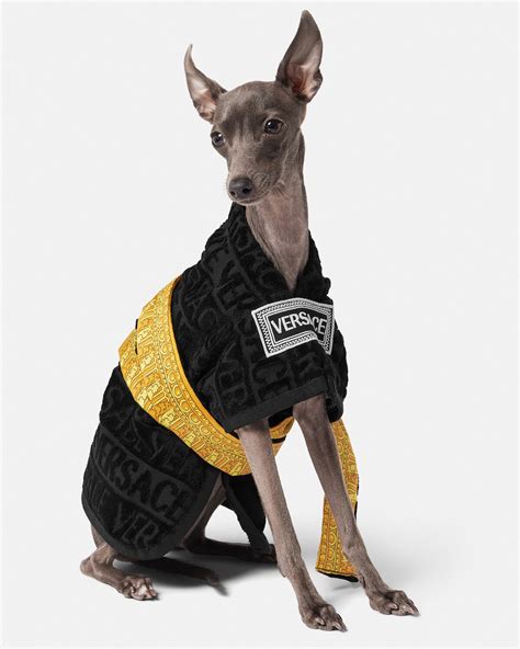 versace pet robe|I ♡ Baroque Small Pet Bathrobe .